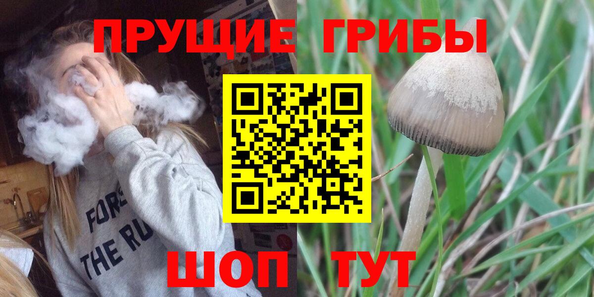 Псилоцибиновые грибы GOLDEN TEACHER Ржев