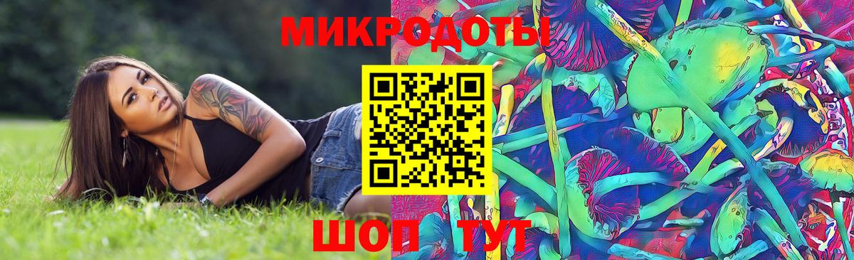Ржев  хочу наркоту  Вход с VPN  Галлюциногенные грибы GOLDEN TEACHER 
